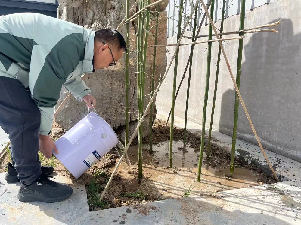 植樹節(jié)